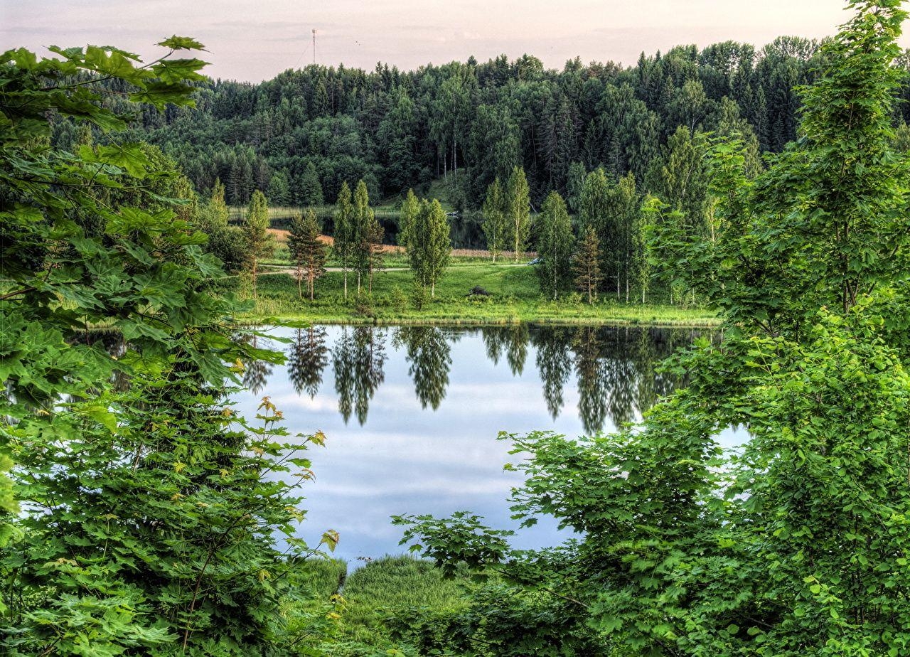 1280x930 Wallpaper Estonia Rouger HDRI Nature Lake Forests, Desktop