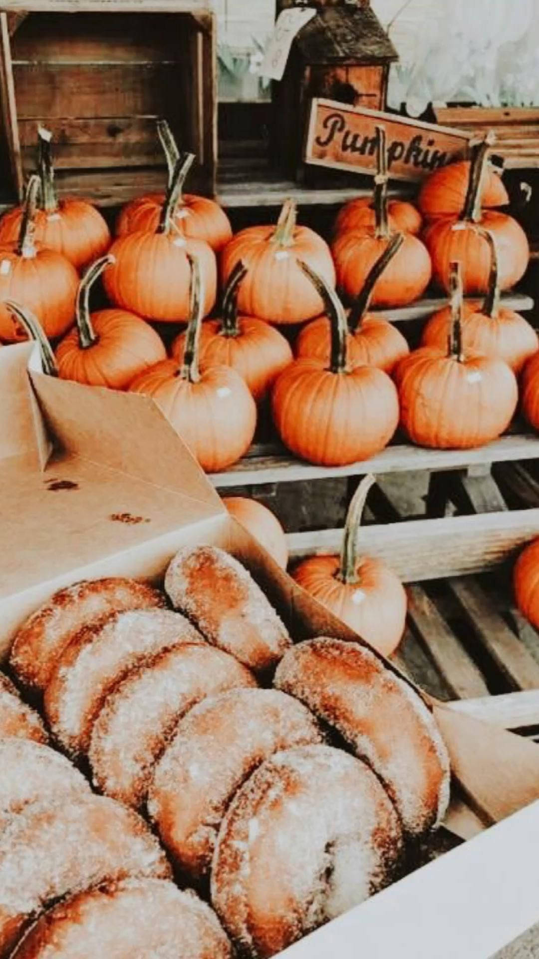 1080x1920 Download Pumpkins And Donuts Preppy PFP Wallpaper, Phone