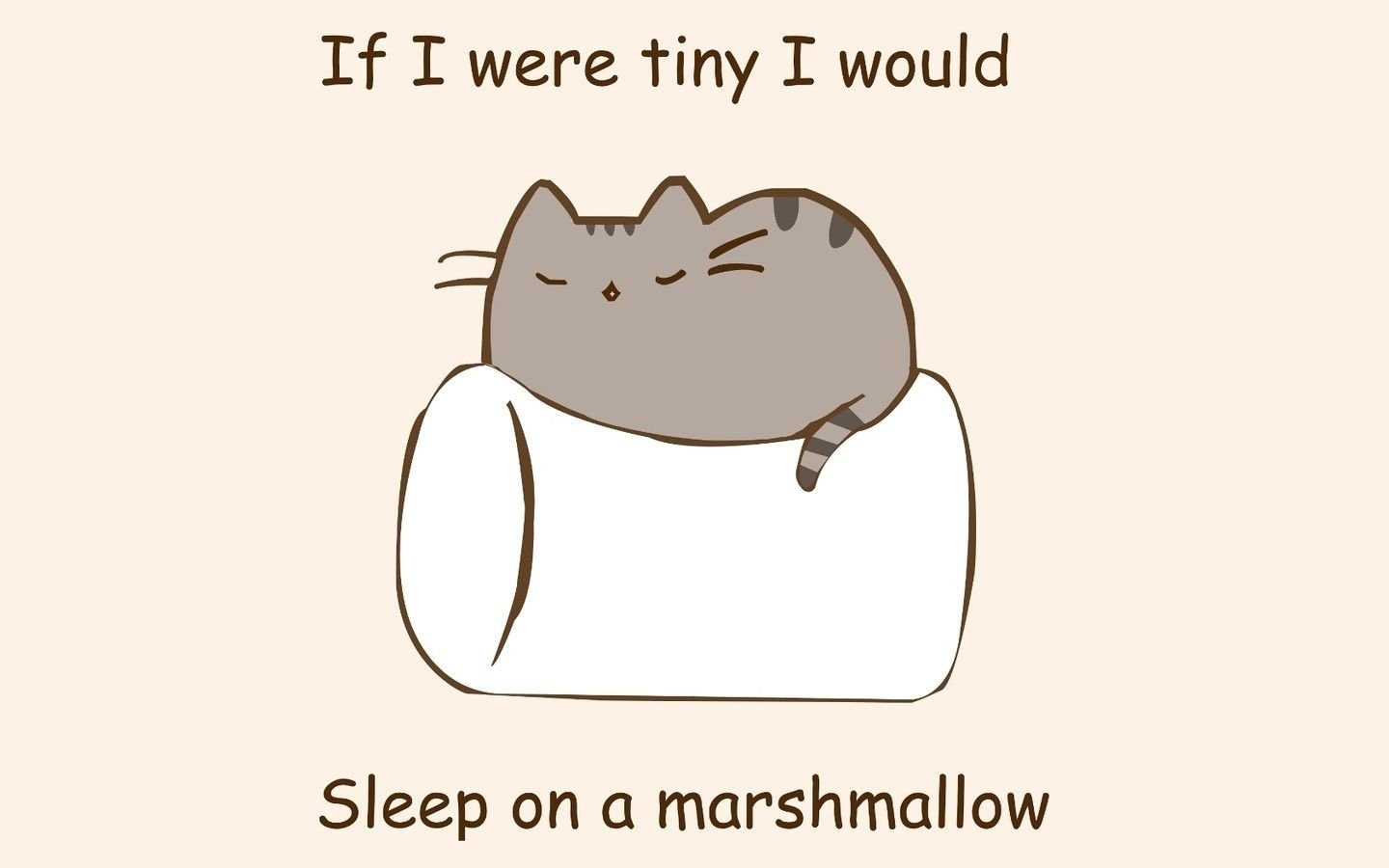 1440x900 pusheen HD wallpaper, Background, Desktop