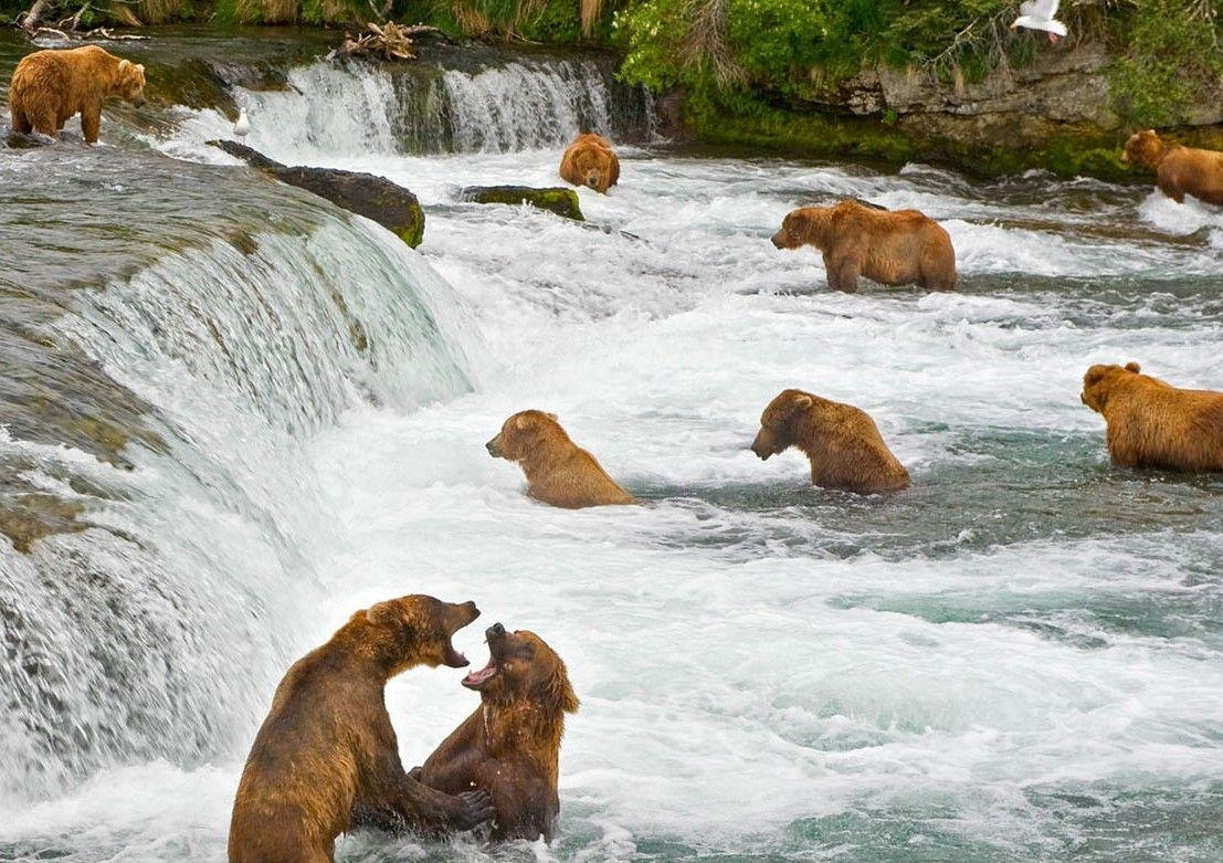 1110x790 Most Breathtaking Photo of Katmai National Park In Alaska, USA, Desktop