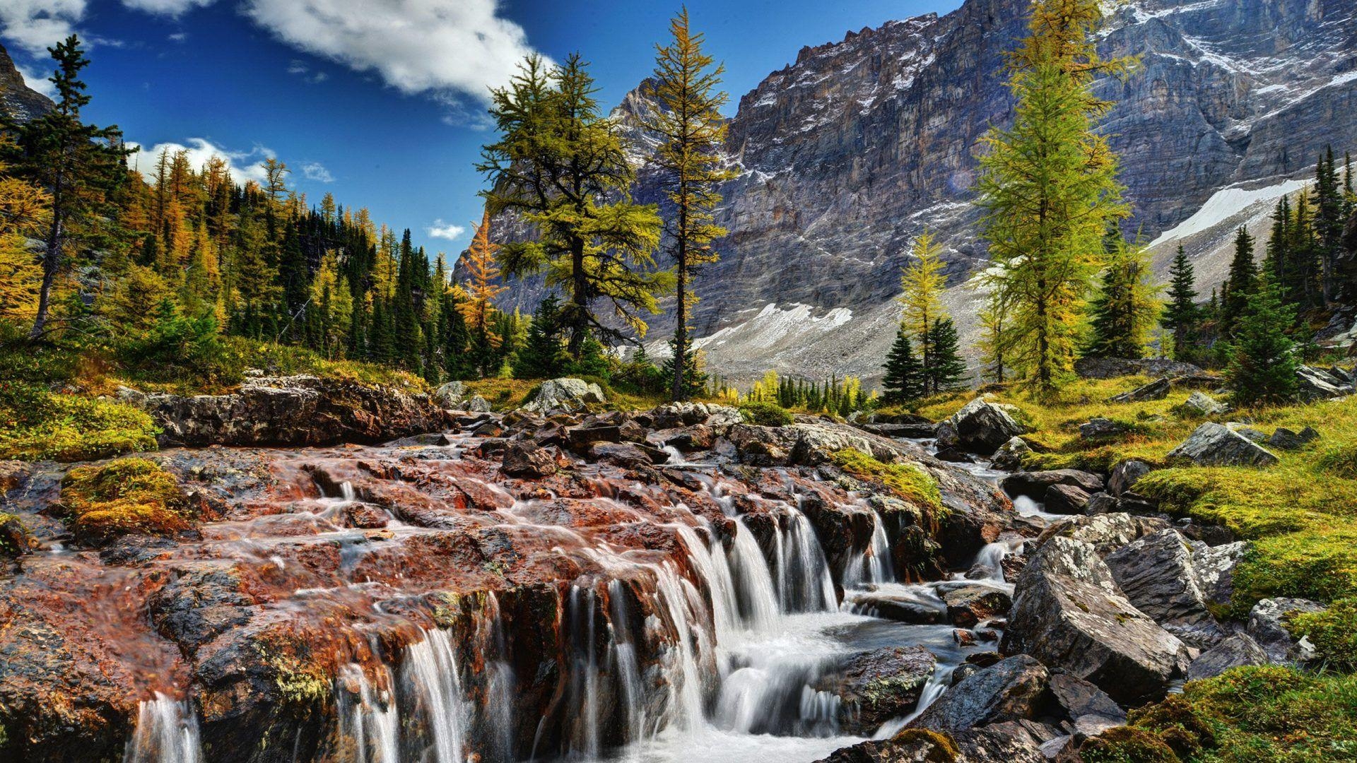 1920x1080 Beautiful Scenery Mountain River Rocks Rocky Mountain Pine Shua, Desktop