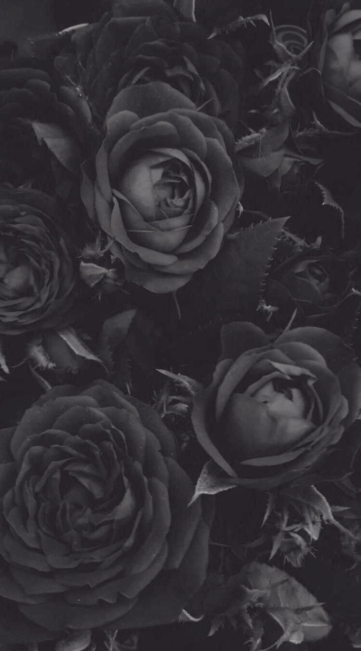 720x1280 Wallpaper For iPhone 7 Spring even Wallpaper iPhone X True Black, Phone