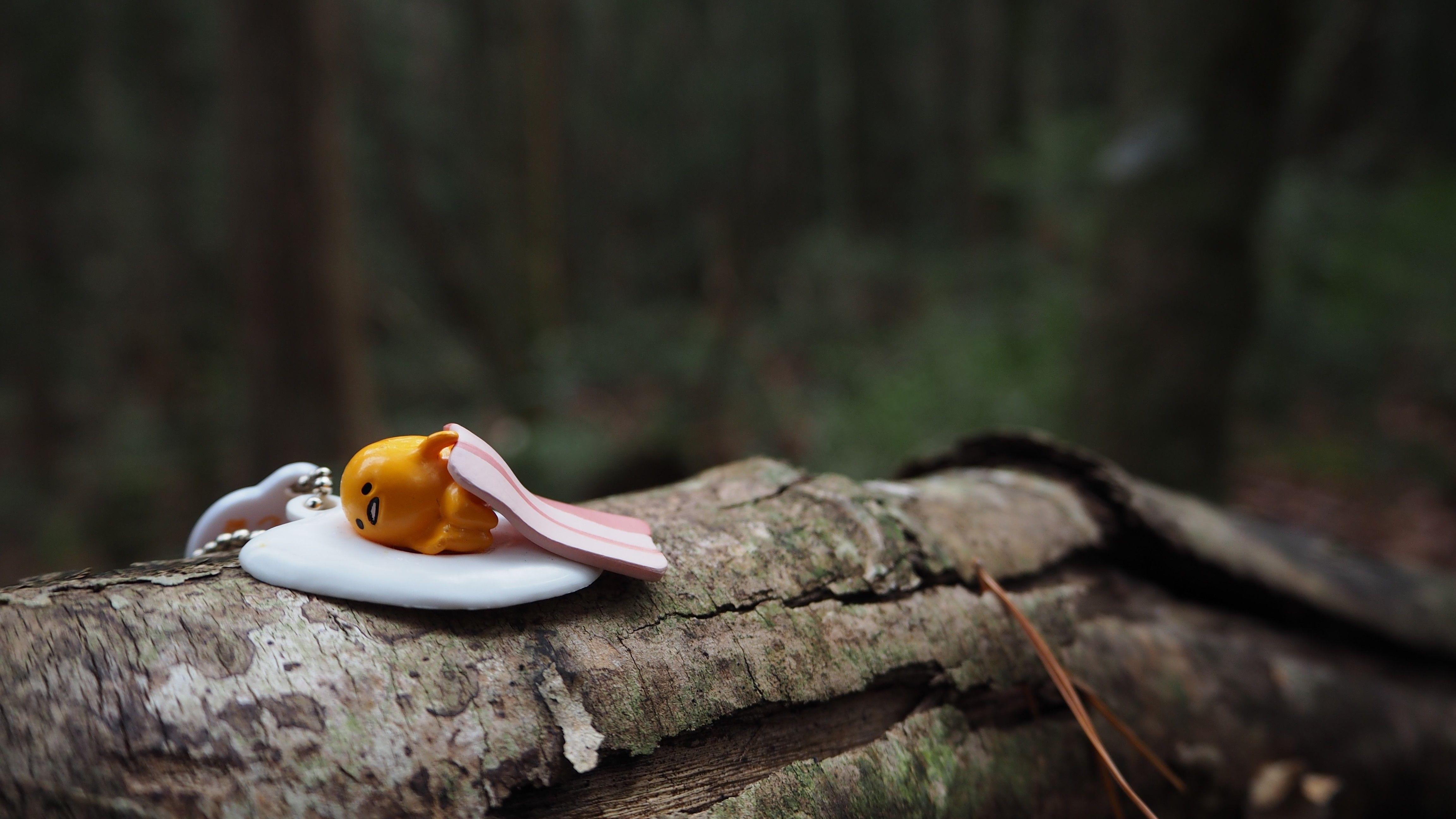 4610x2600 depth of field, #GUDETAMA, #forest. Wallpaper No. 315294, Desktop