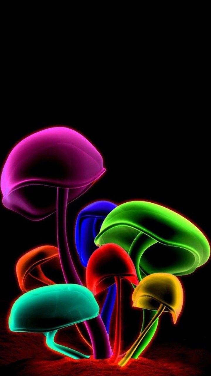 720x1280 Mushroom Wallpaper Download, Phone