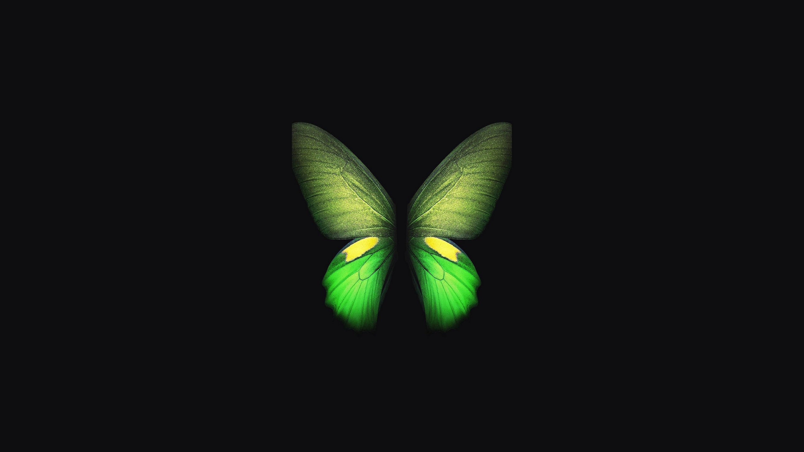 2560x1440 Wallpaper / samsung galaxy fold, butterfly, samsung, stock, hd, original, 4k, artist, digital art, dark, black, oled free download, Desktop