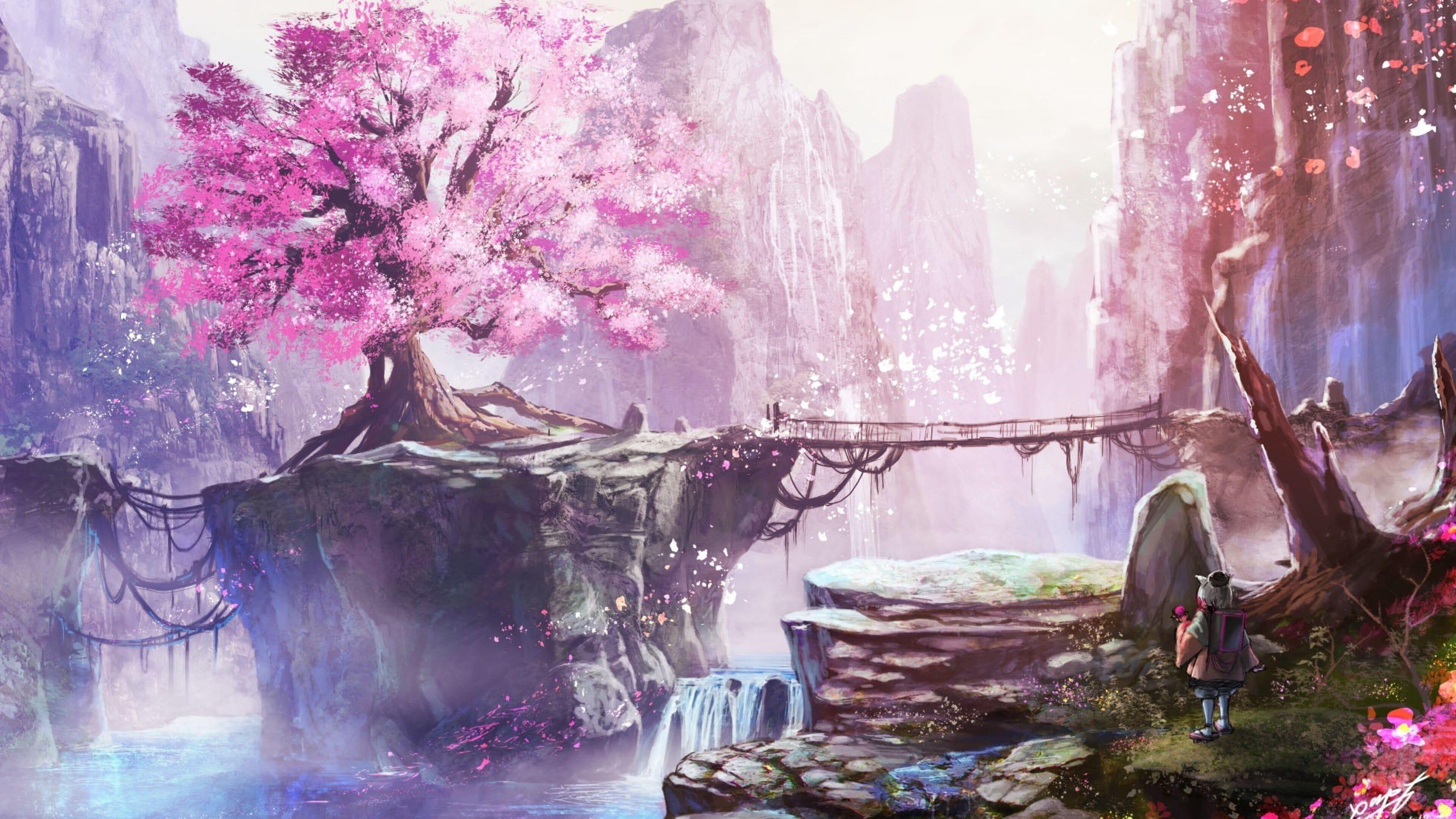 3840x2160 Cherry blossom tree [], Desktop