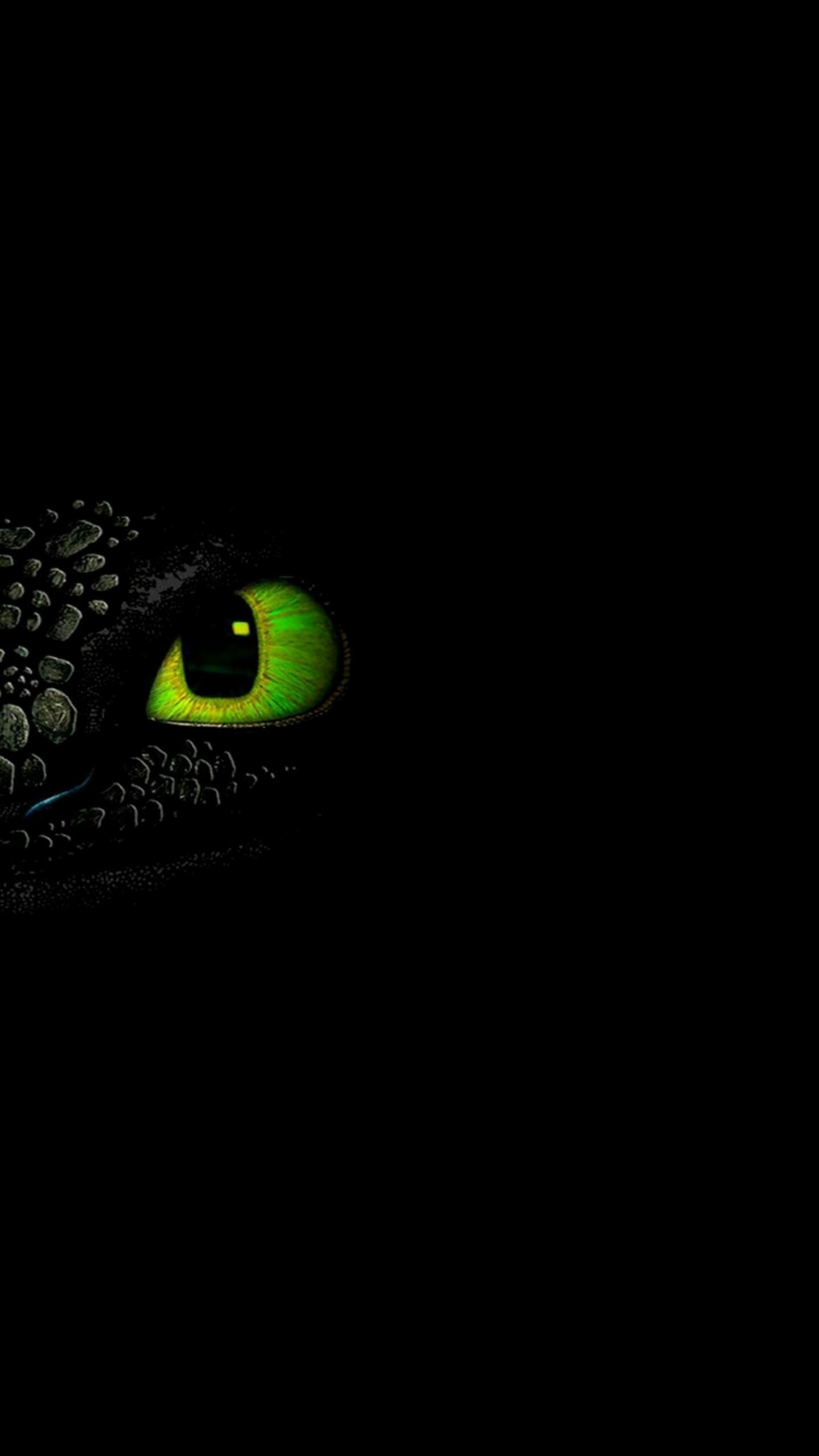 1440x2560 Night Fury Wallpaper, Phone