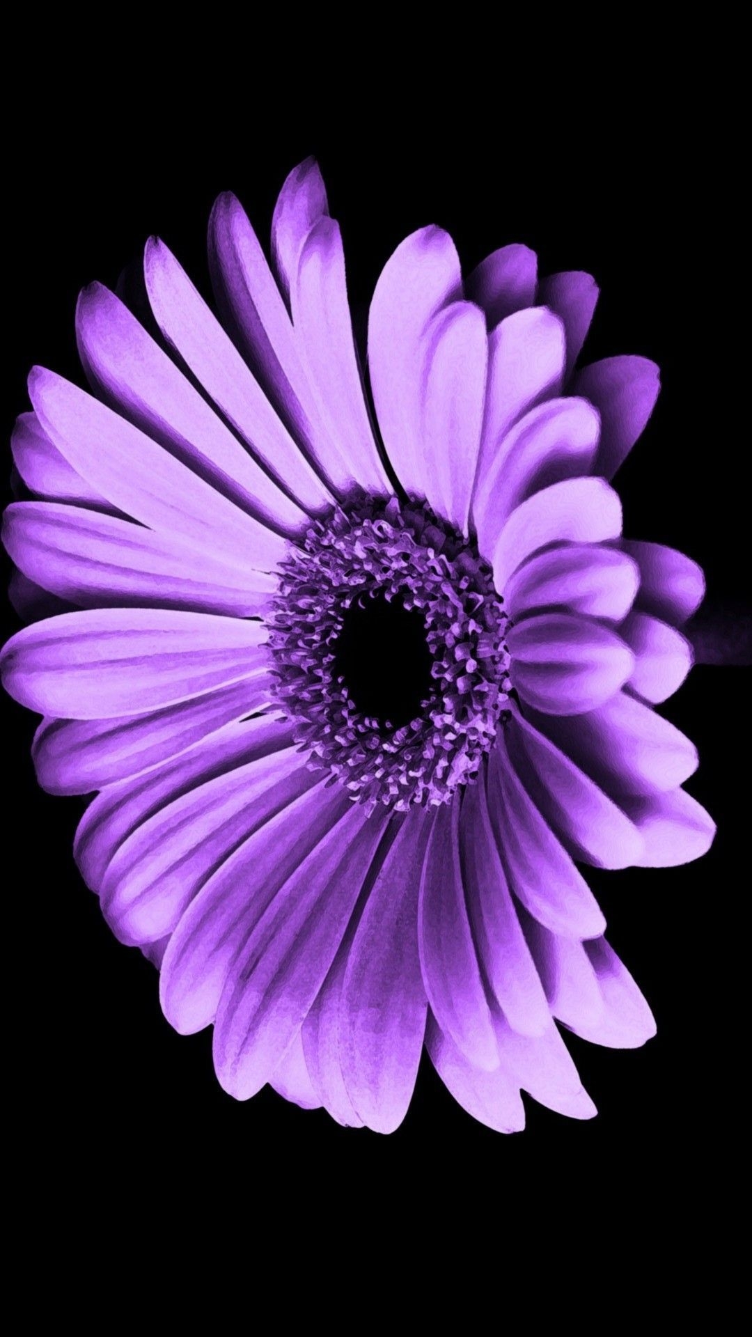 1080x1920 Purple Flowers iPhone Wallpaper HD. Best HD Wallpaper. Purple flowers wallpaper, Flower iphone wallpaper, iPhone wallpaper purple flower, Phone