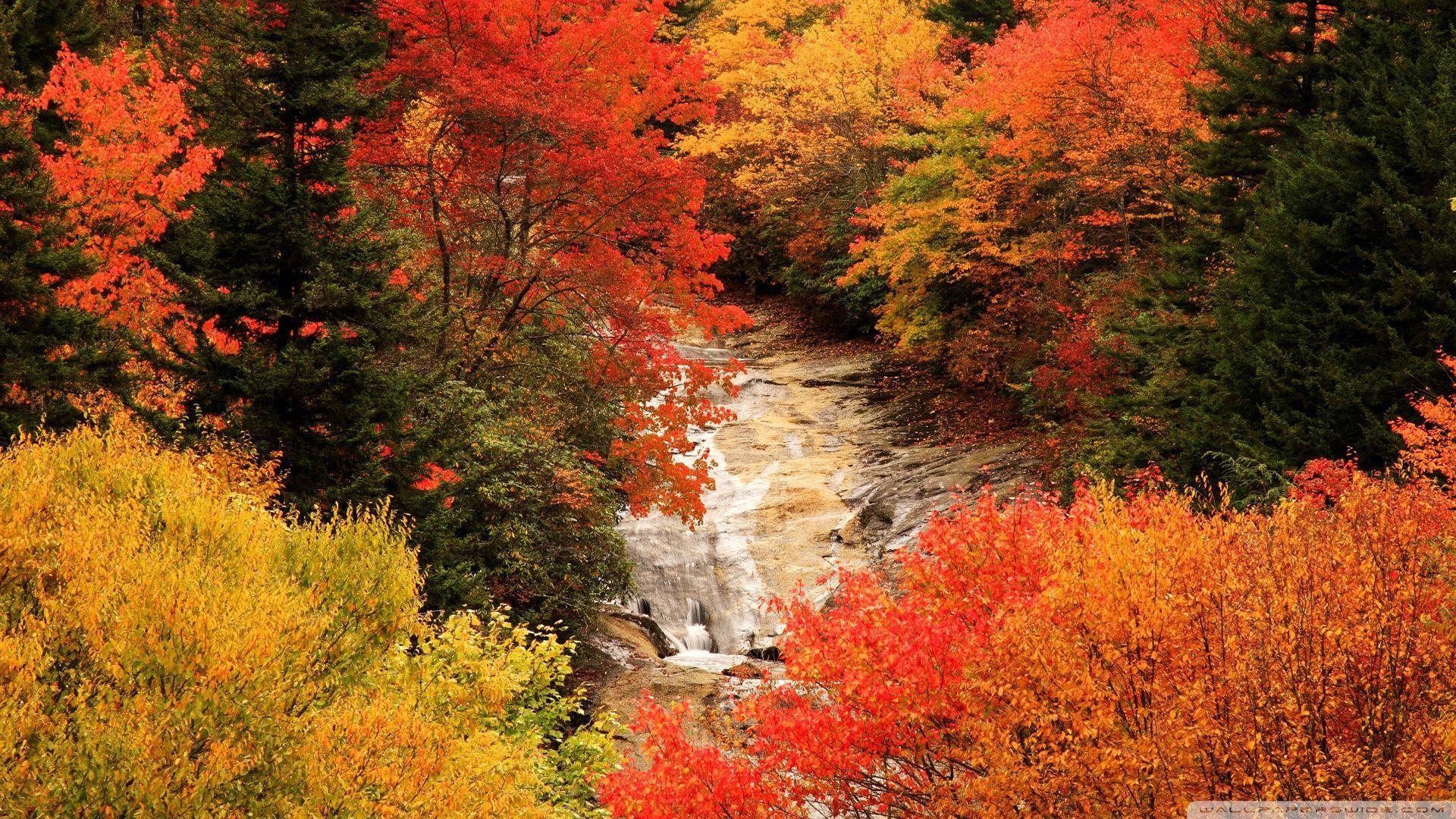 1920x1080 Blue Ridge Parkway, North Carolina, Autumn HD desktop wallpaper, Desktop