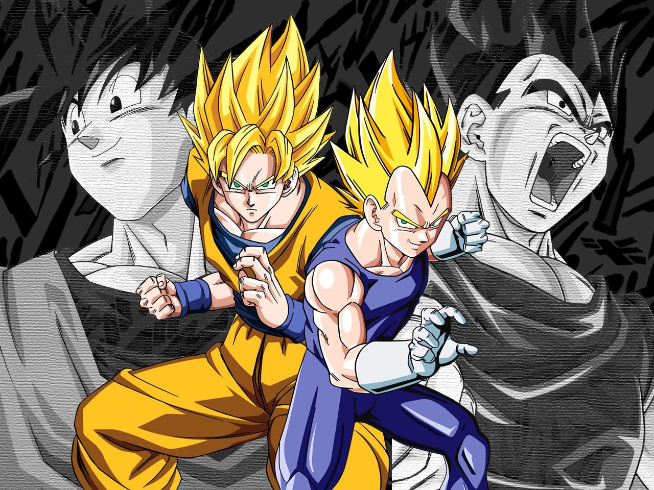 1280x960 px Goku and Vegeta Wallpaper, Desktop