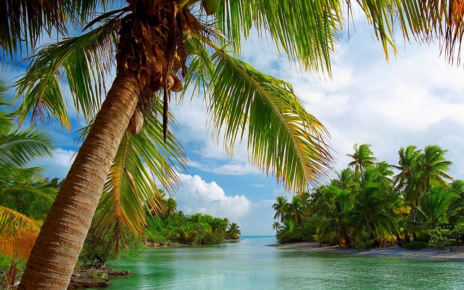 1500x940 beach, Tropical, Summer, Sea, Nature, Island, Palm Trees, Landscape, Clouds, French Polynesia, Vacations Wallpaper HD / Desktop and Mobile Background, Desktop