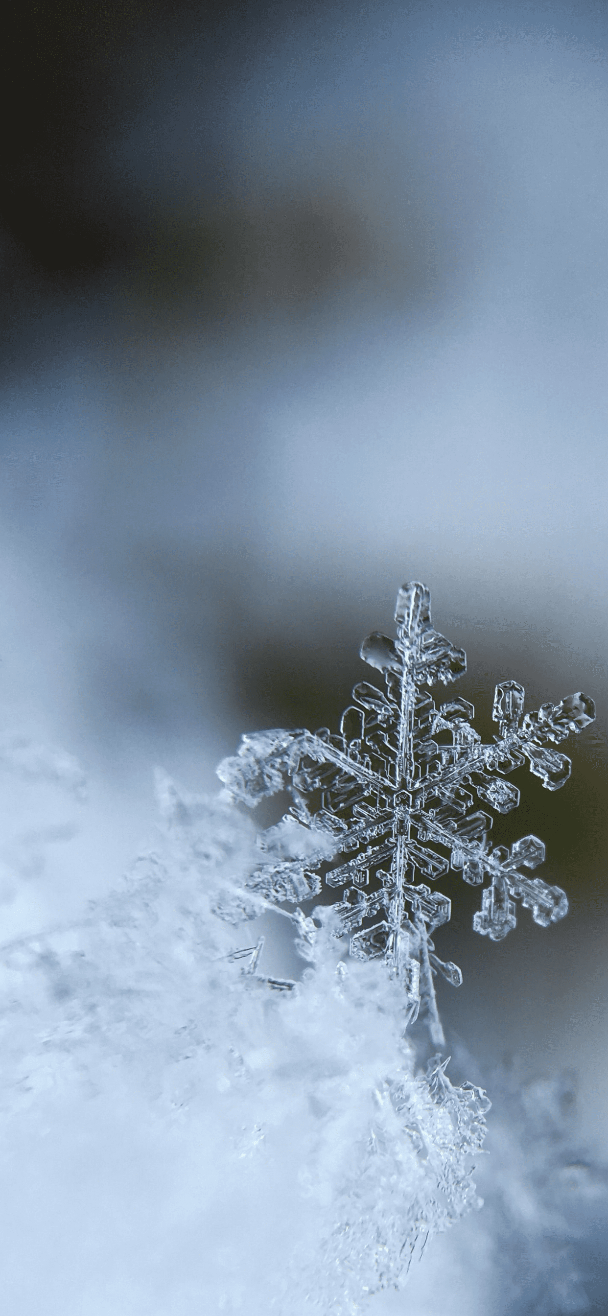 1250x2690 Free Download Snowflakes Wallpaper HD For IPhone Pro Max, X, 6 6S, 5 5S And. Wallpaper Iphone Christmas, IPhone Wallpaper Winter, Snow Wallpaper Iphone, Phone