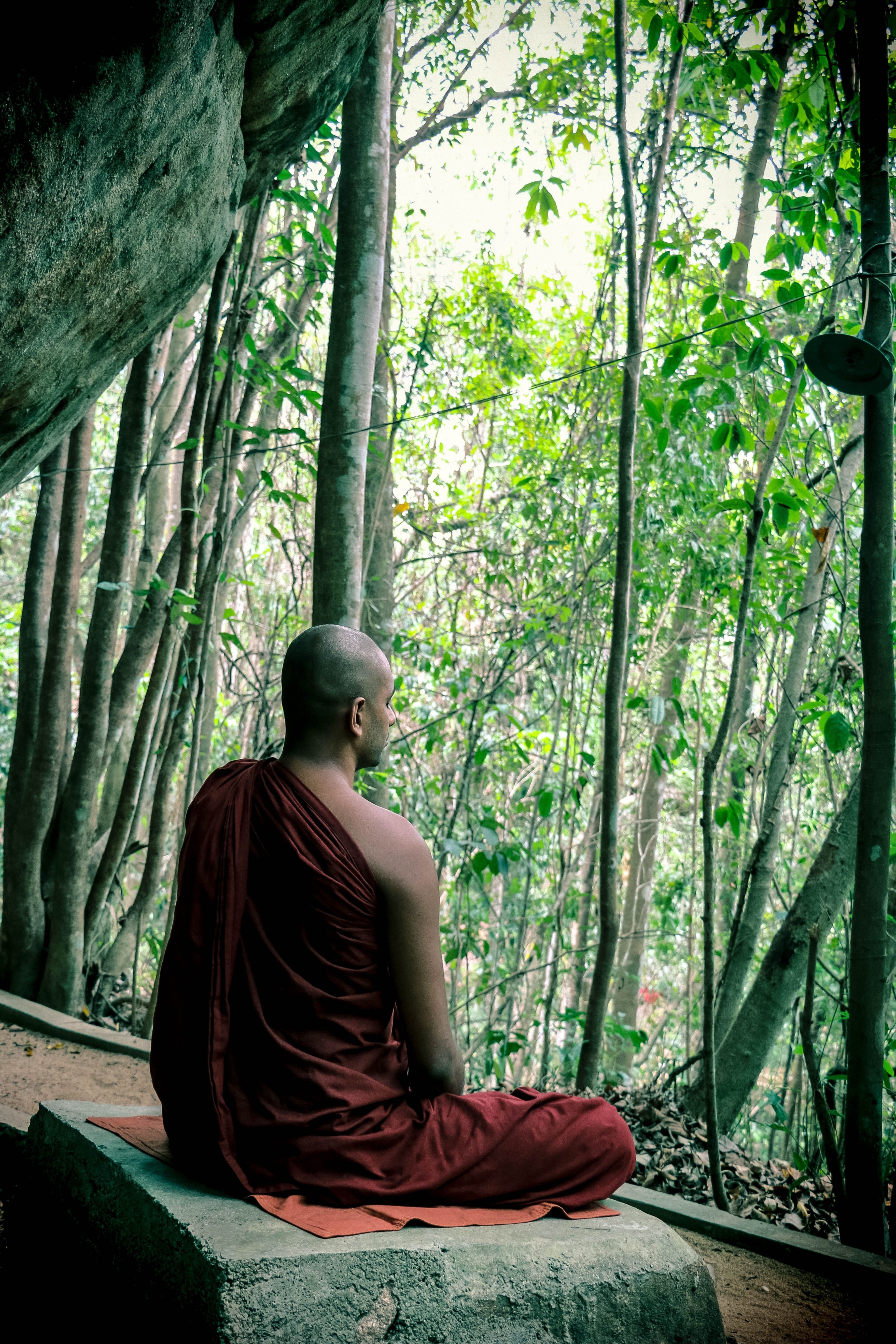 3650x5480 meditation #bhikkhu #mahamevnawa sri lanka #buddhist #monk K #wallpaper #hdwallpaper #desktop. Bhikkhu, Meditation, Buddhist, Phone