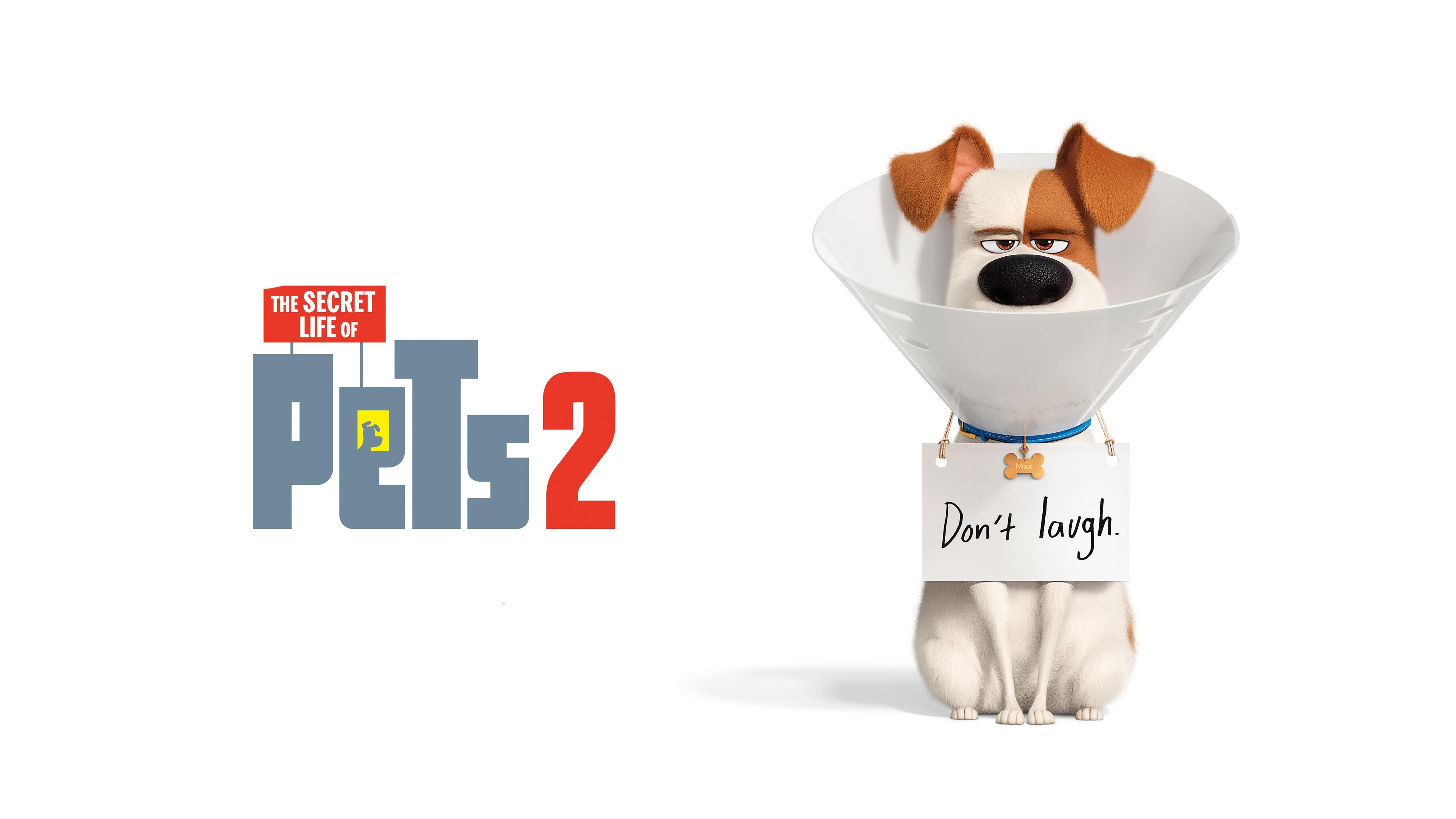 4000x2250 Wallpaper The Secret Life of Pets Max, Animation, 4K, 5K, Desktop