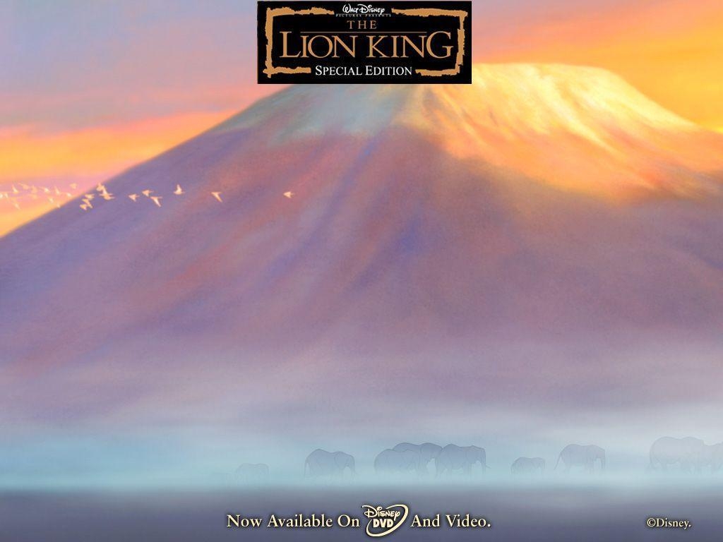 1030x770 Lion King wallpaperx768, Desktop