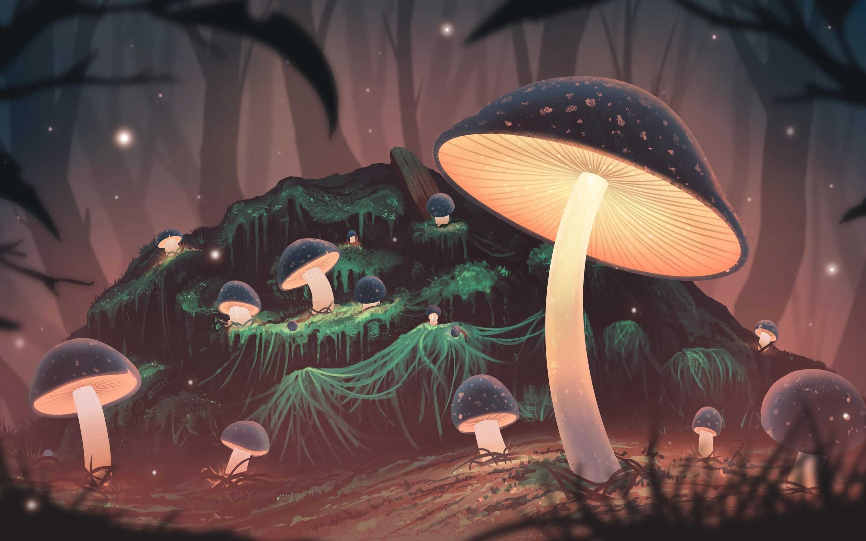 2880x1800 Desktop Mushroom Wallpaper, Desktop