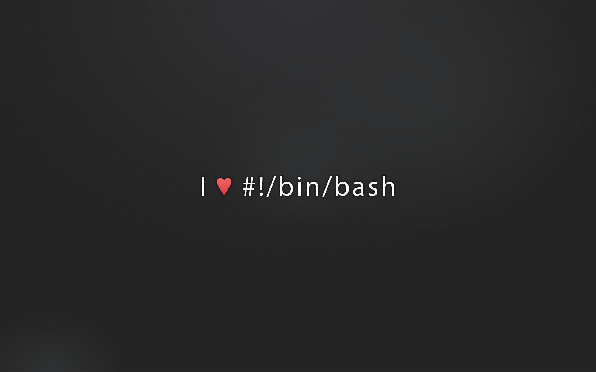 1920x1200 minimalistic, Geek, Programming, Unix, Technology, Gnu, Bash, Desktop