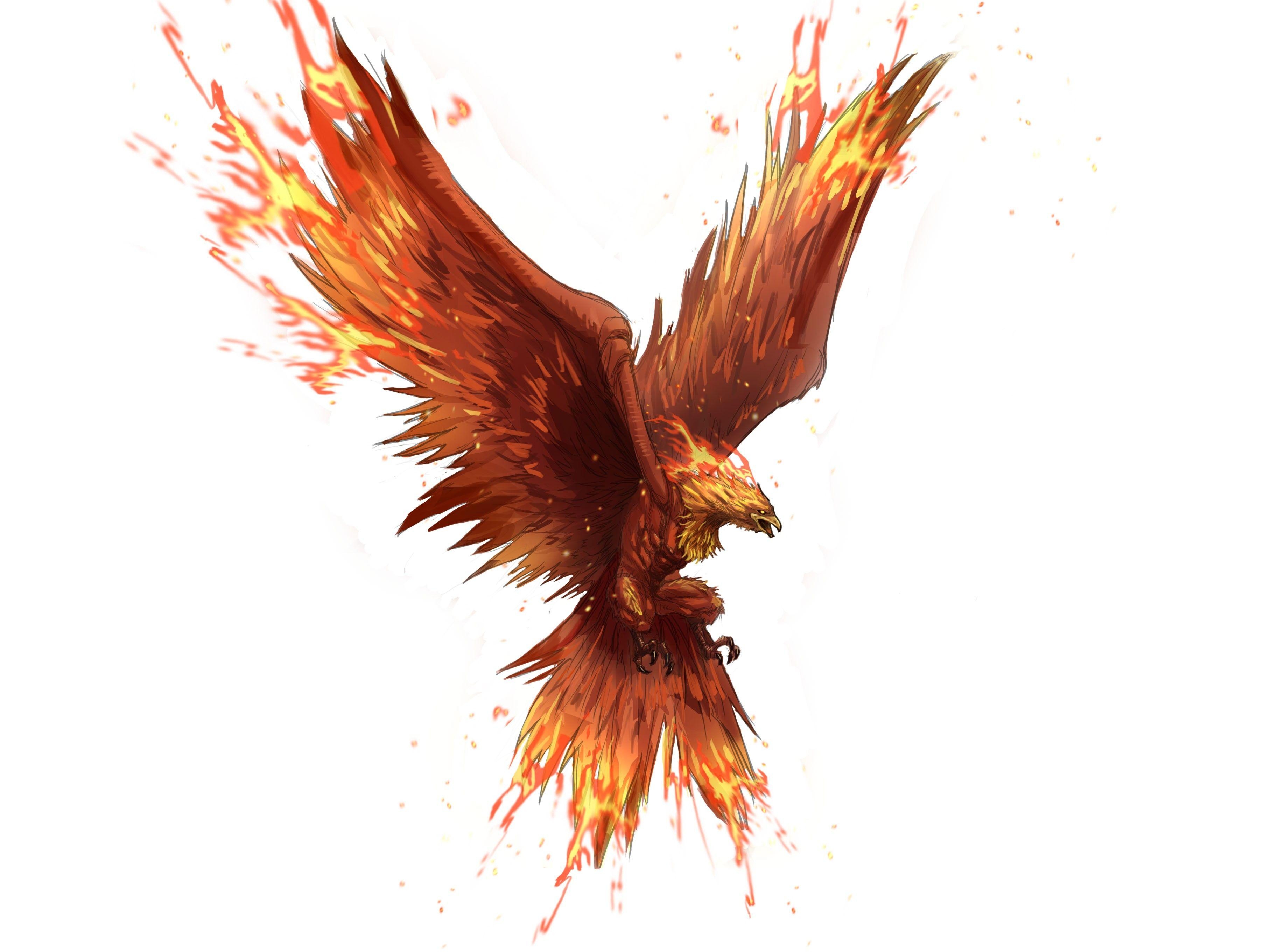 3660x2720 Fenix Wallpaper Desk HD Desktop Wallpaper. Hdwallimages, Desktop