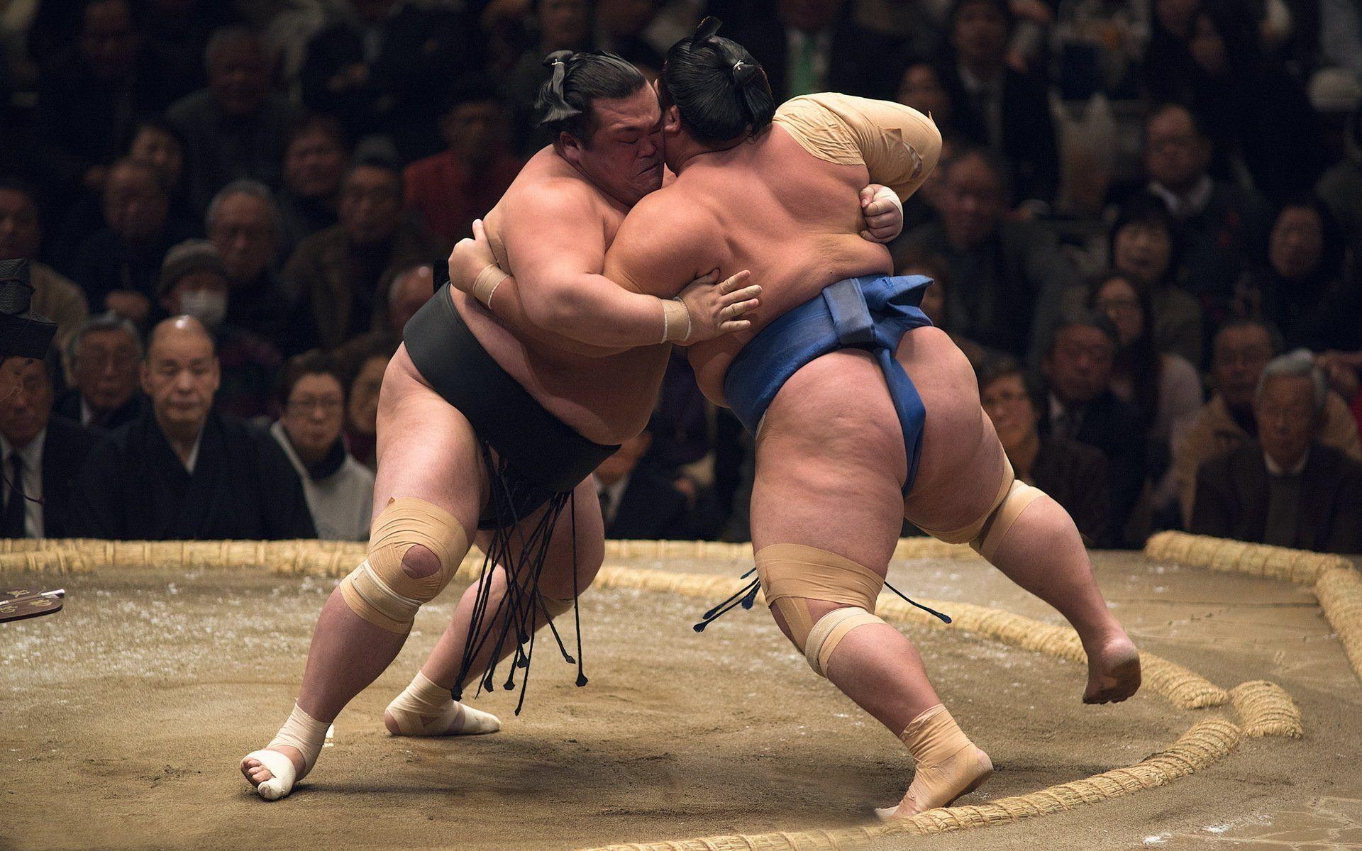 1920x1200 wrestling sumo sports HD wallpaper, Desktop