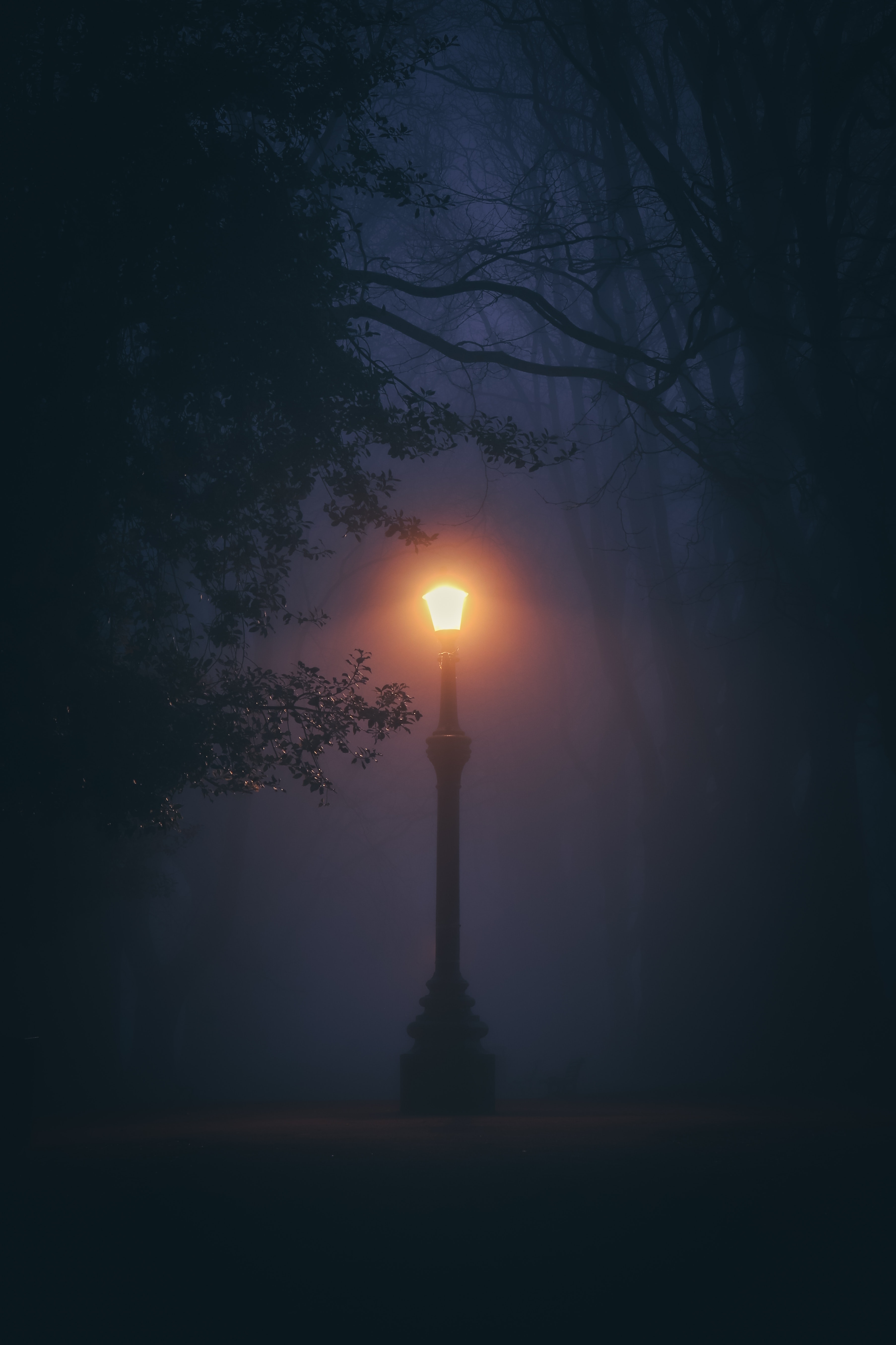 3620x5420 Black Street Lamp Turned on during Night Time · Free, Phone