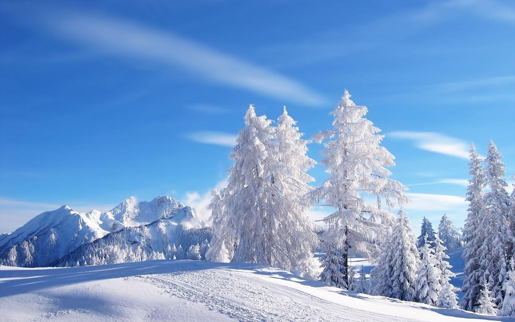 1680x1050 Download Beautiful Snowfall Wallpaper 15980  px High, Desktop