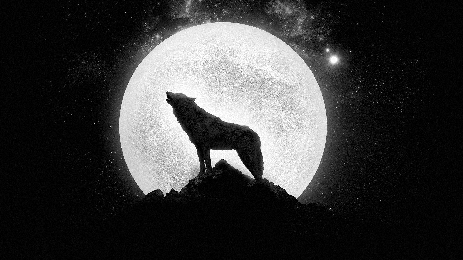 1920x1080 Wolf Super Moon Wallpaper Android Touching Fashion Summary, Desktop