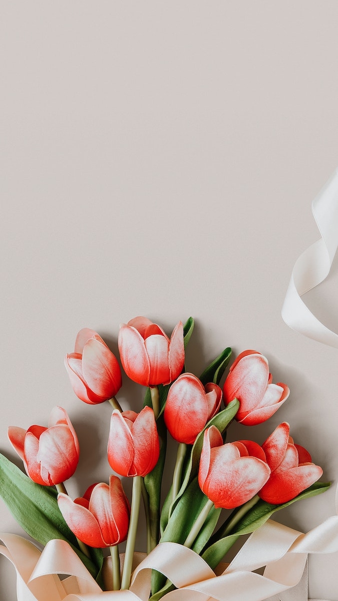 680x1200 Tulip Background Image Wallpaper, Phone