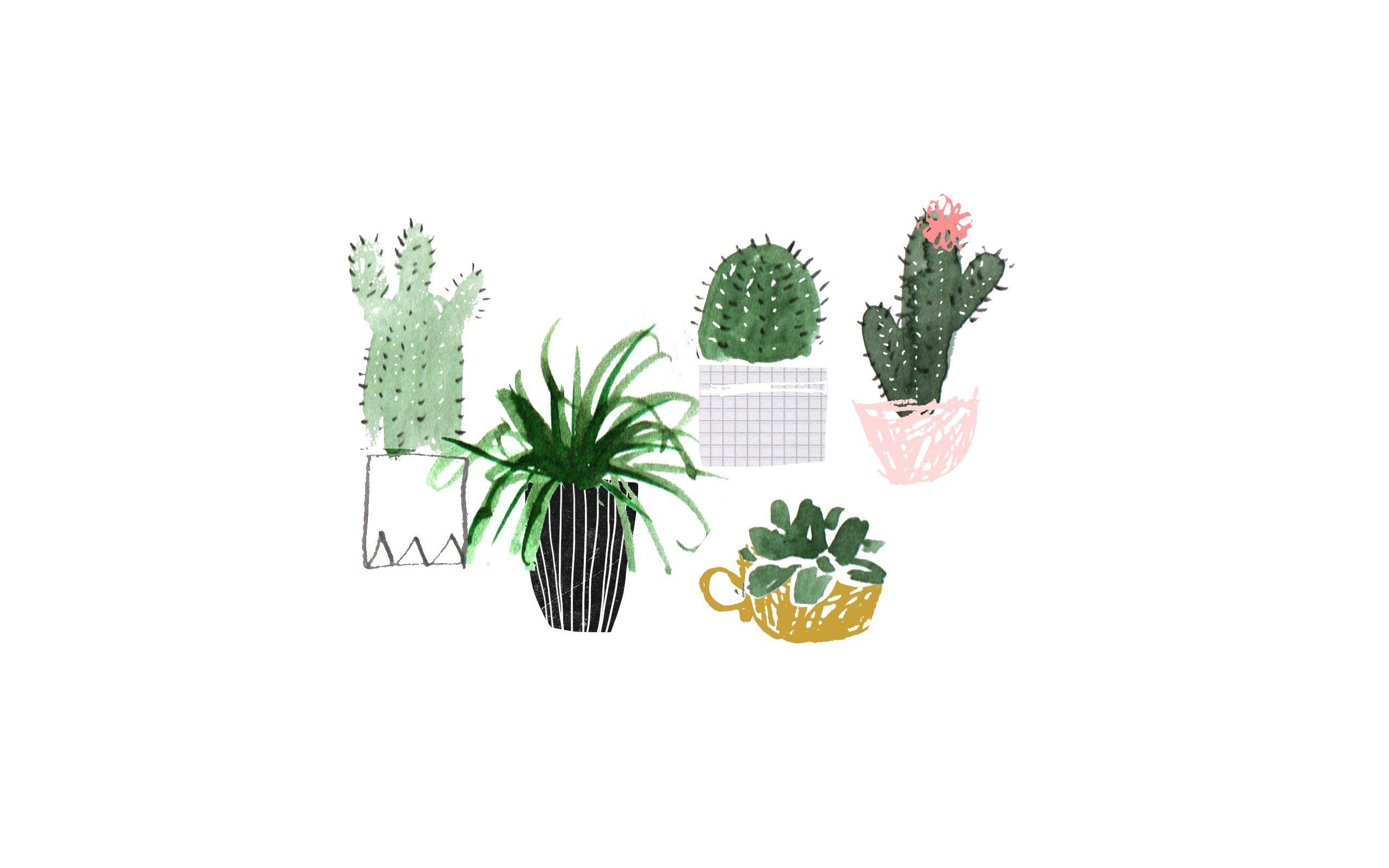 2560x1600 Desktop background wallpaper plants. Aesthetic desktop wallpaper, Desktop