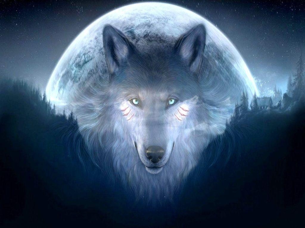 1030x770 Wolf galaxy wallpaper Download Wolf galaxy wallpaper Free Cool, Desktop