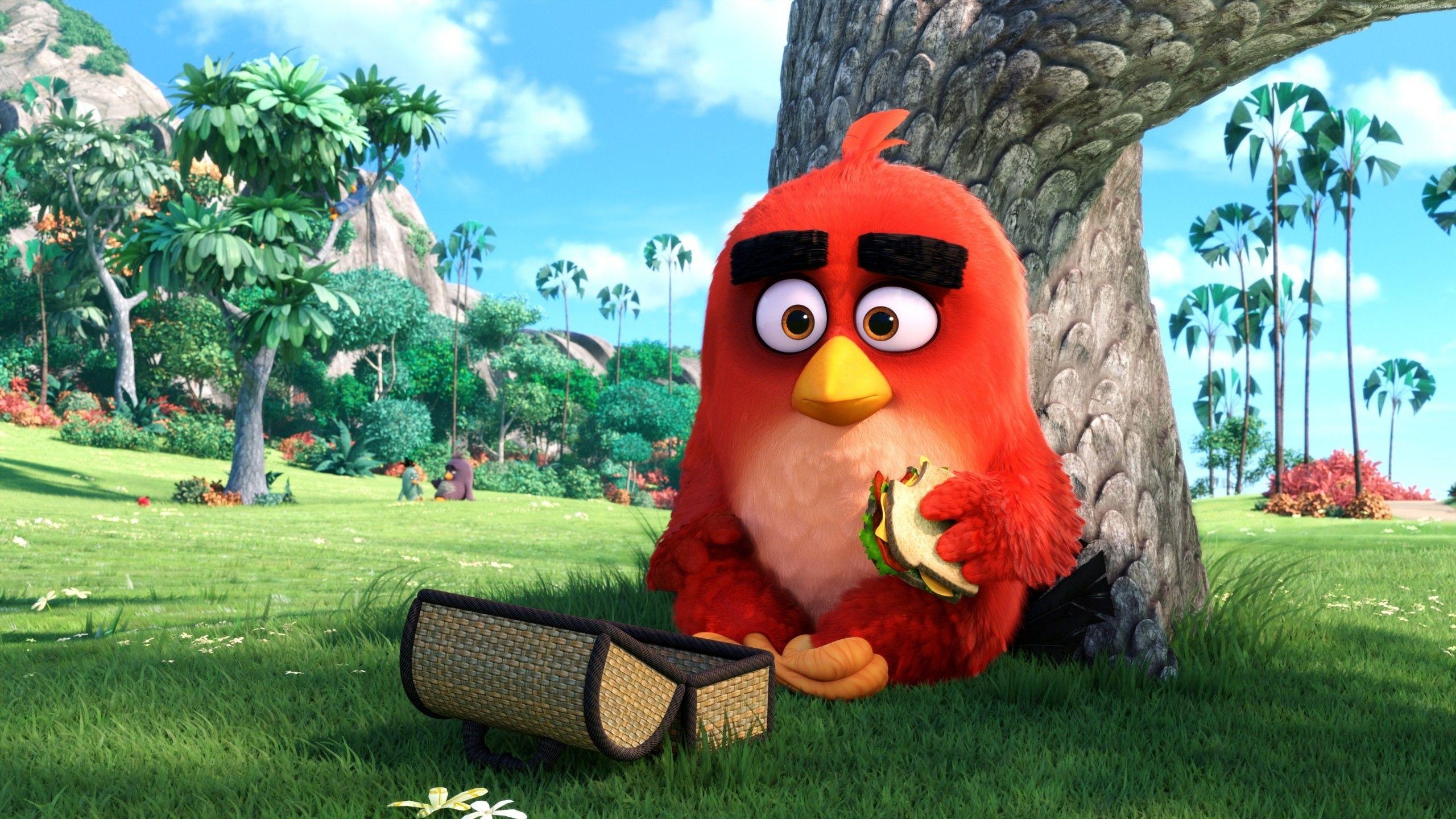 2560x1440 Wallpaper Red, Angry Birds, 4K, Movies, Desktop