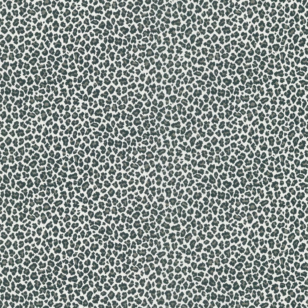 1000x1000 Kids World Sassy Black Cheetah Print Wallpaper Sample 443 62509SAM, Phone