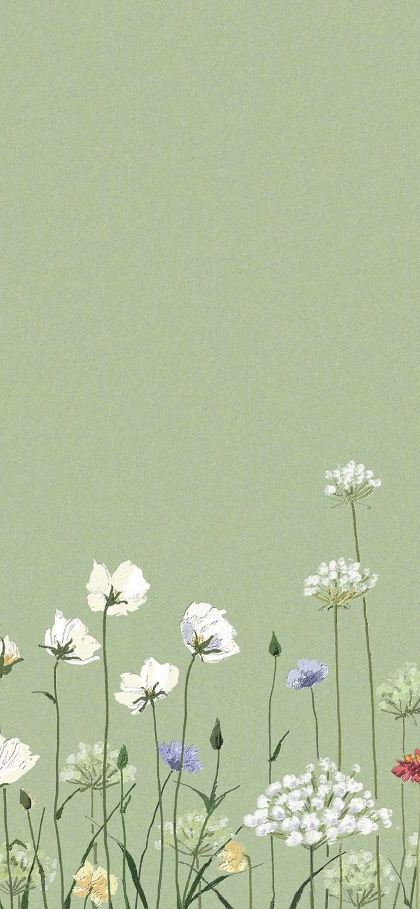 830x1800 Flores. iPhone wallpaper green, Phone wallpaper patterns, Art wallpaper iphone, Phone