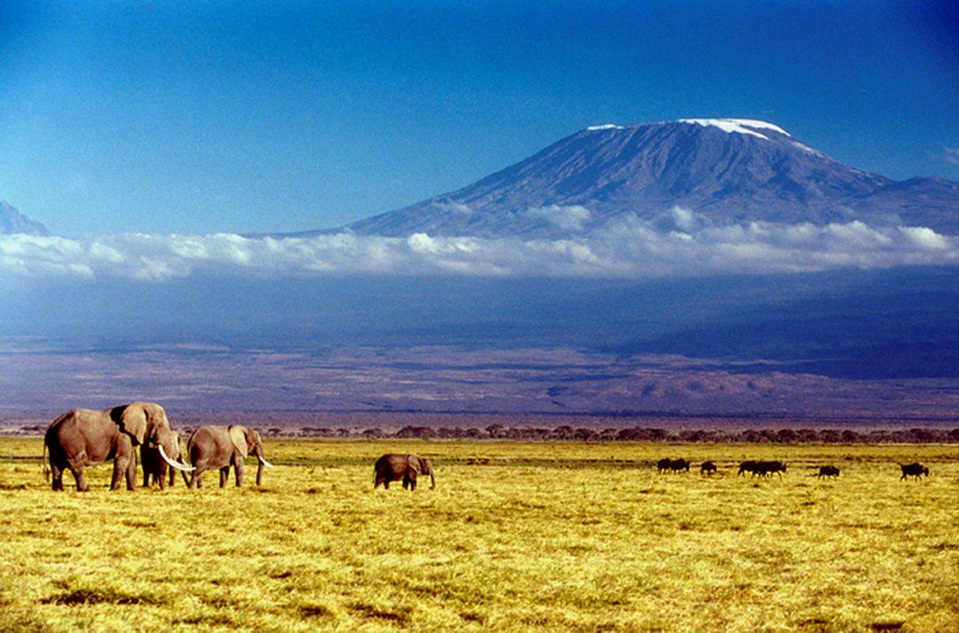 1900x1260 Kilimanjaro Wallpaper, Amazing 43 Wallpaper of Kilimanjaro, Top, Desktop