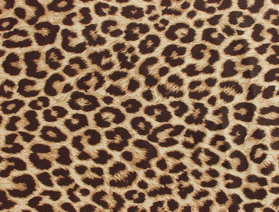 1080x830 Leopard Skin Wallpaper Desktop. Leopard print wallpaper, Leopard print pillows, Print, Desktop