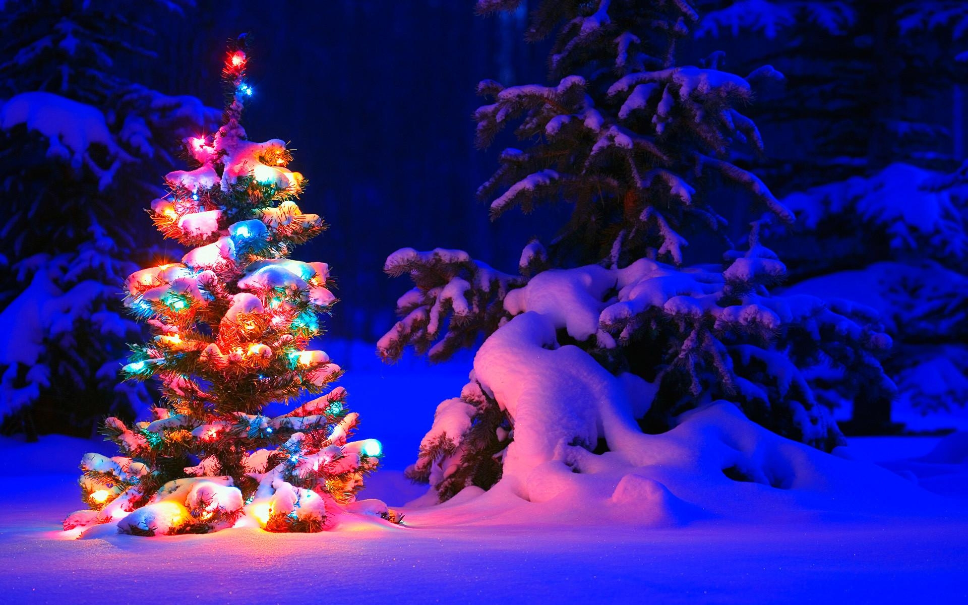 1920x1200 Christmas Desktop Background, Desktop