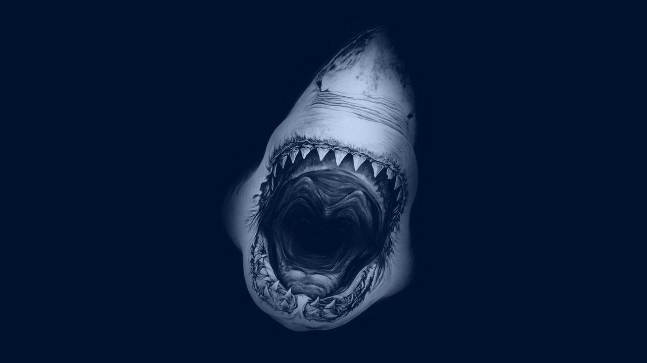 1280x720 Free Shark Wallpaper, Desktop