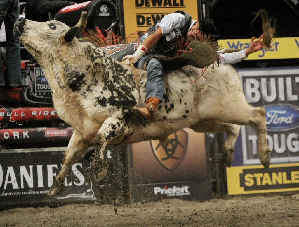 1030x780 Wallpaper For > Bull Riding Wallpaper, Desktop