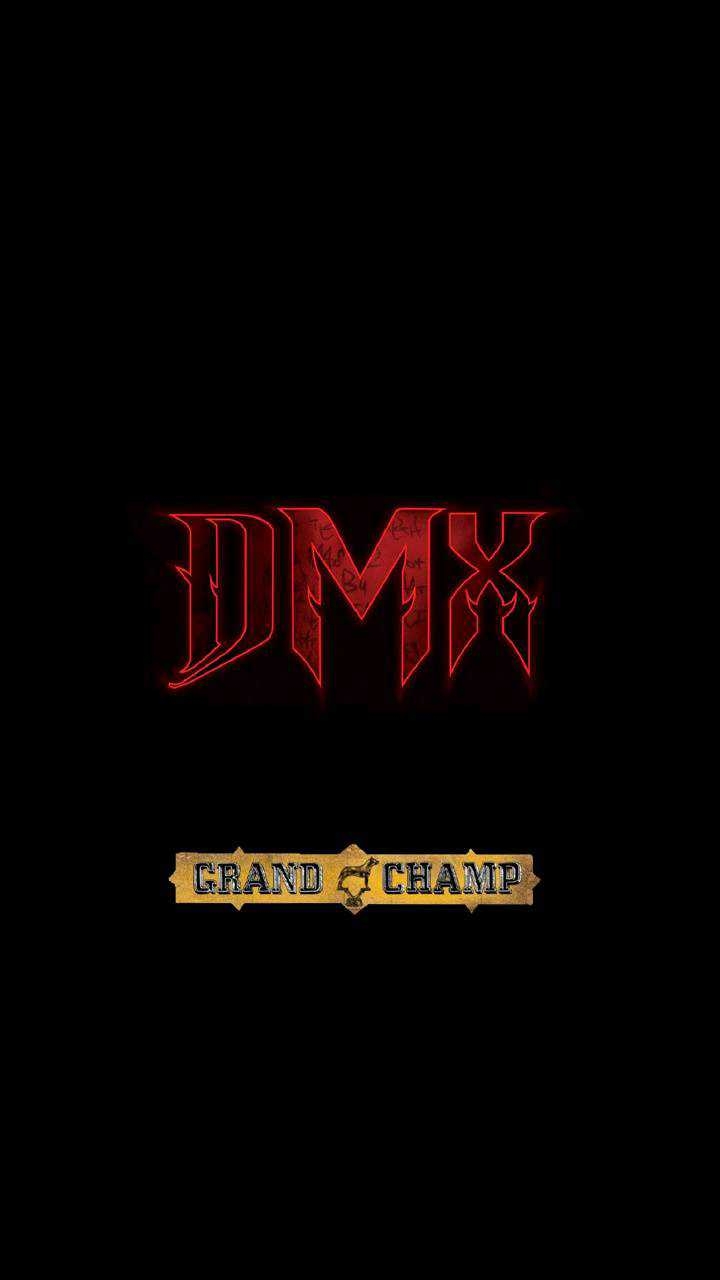 720x1280 iPhone DMX Wallpaper Free HD Wallpaper, Phone