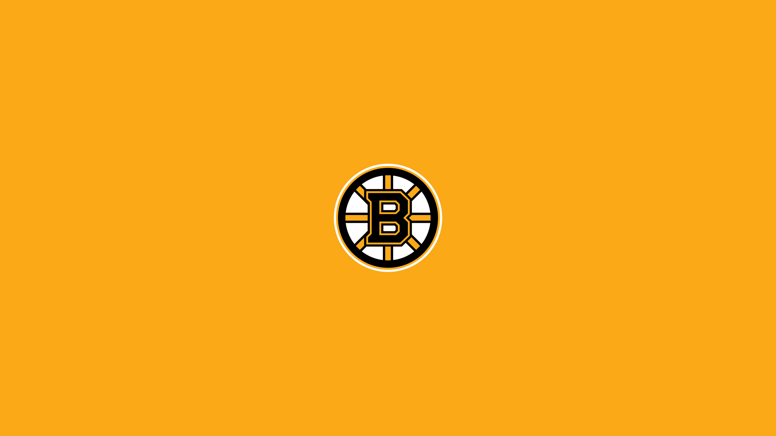 2560x1440 Boston Bruins Bear Logo Wallpaper, Desktop