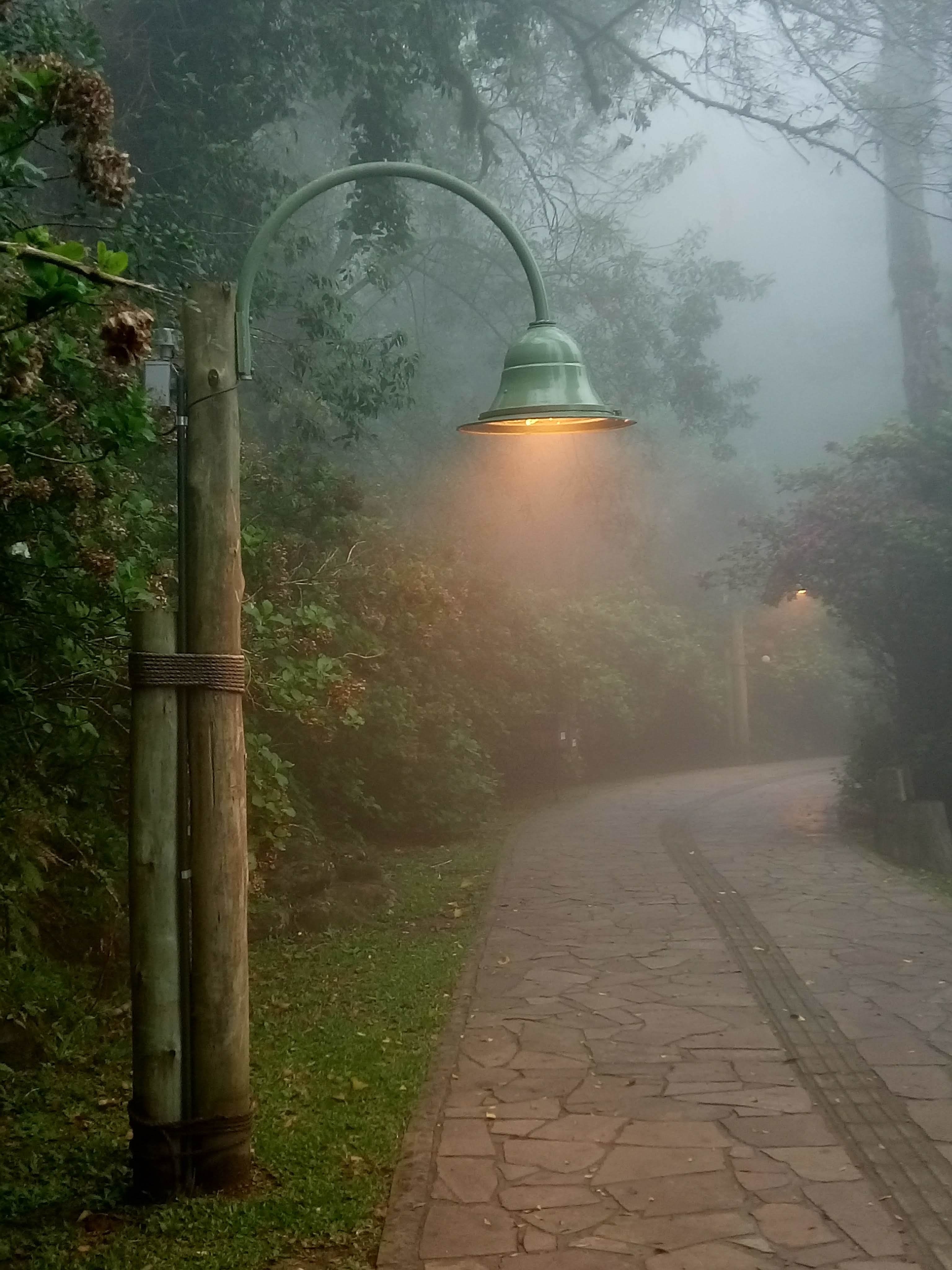 3080x4100 Empty street with lamp in foggy park · Free, Phone