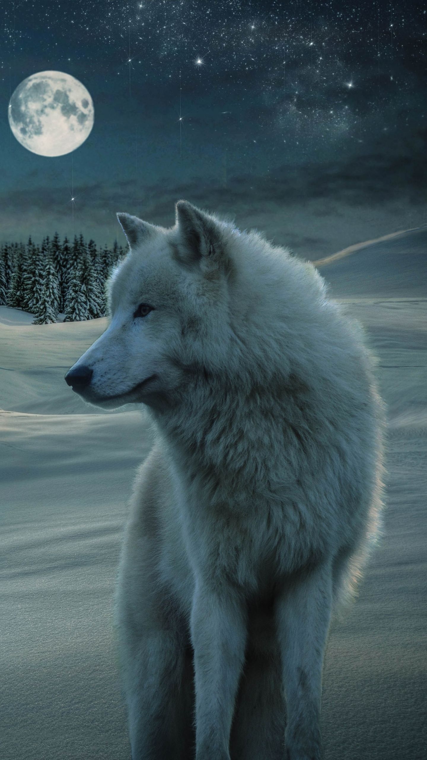 1440x2560 4k Wolf Wallpaper Mobile, HD Wallpaper Download 4k Wallpaper For Mobile HD Wallpaper, Phone