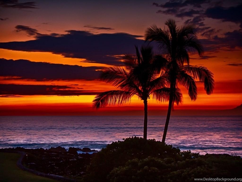 1030x770 Hawaii Wallpaper HDWall.id Desktop Background, Desktop