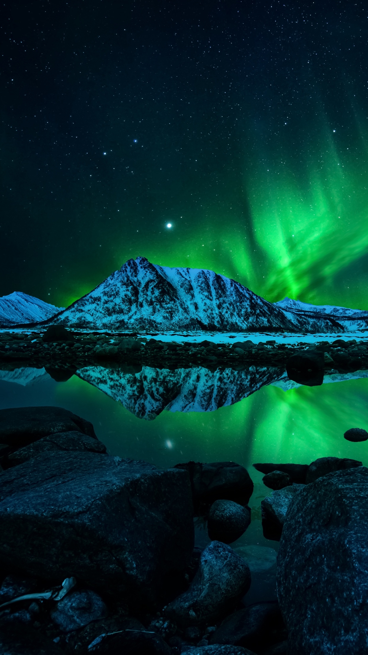 1250x2210 Aurora Borealis Wallpaper 4K, Night, Phone