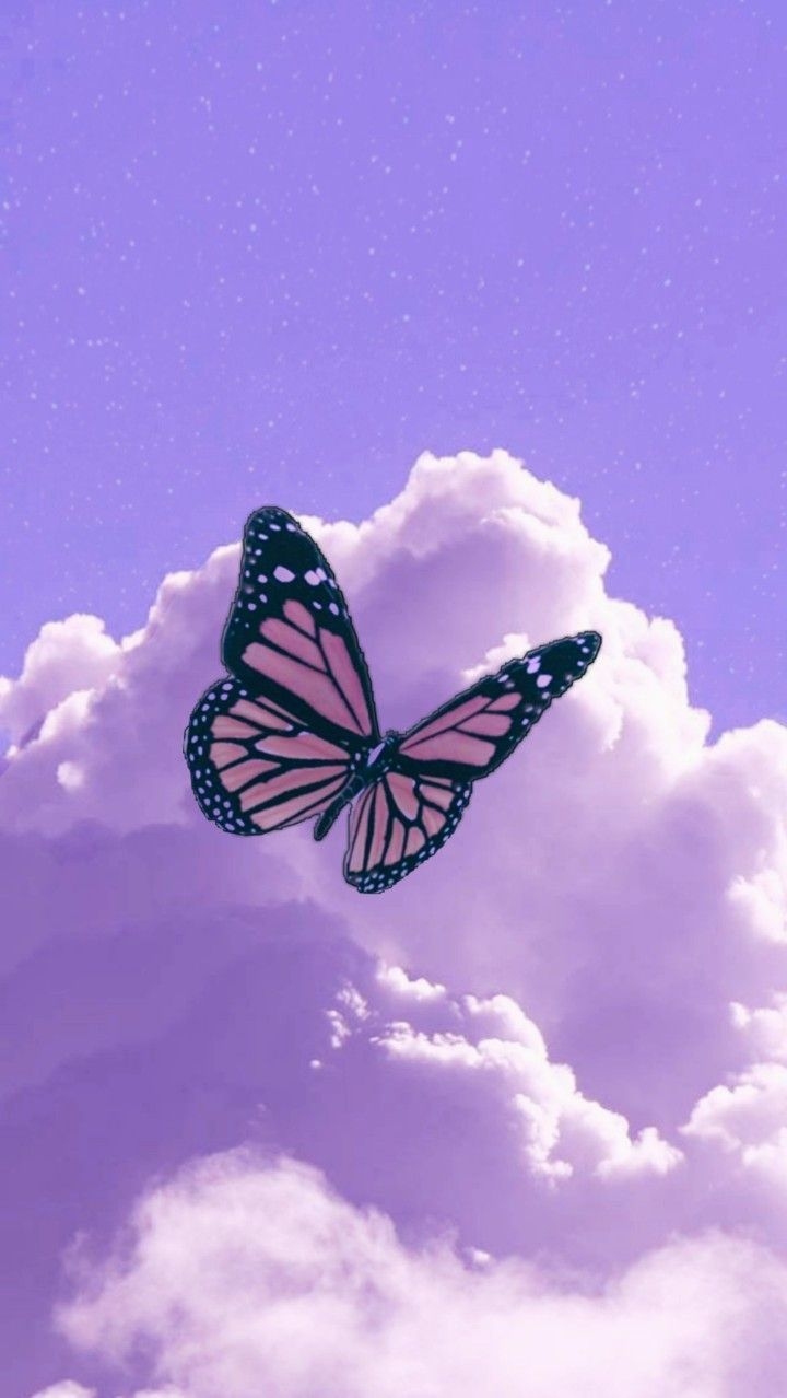 720x1280 Purple Butterfly Phone Wallpaper Free Purple Butterfly Phone Background, Phone