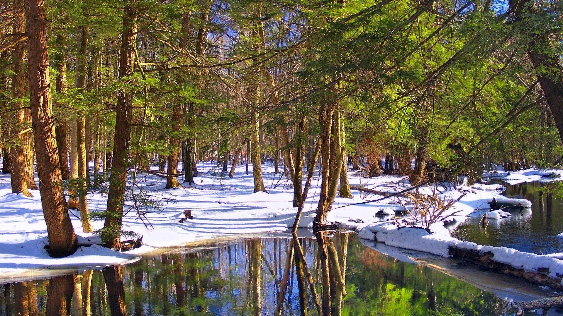 1920x1080 Forests: Snow State Nature Forest Lagoons Winter Delaware, Desktop