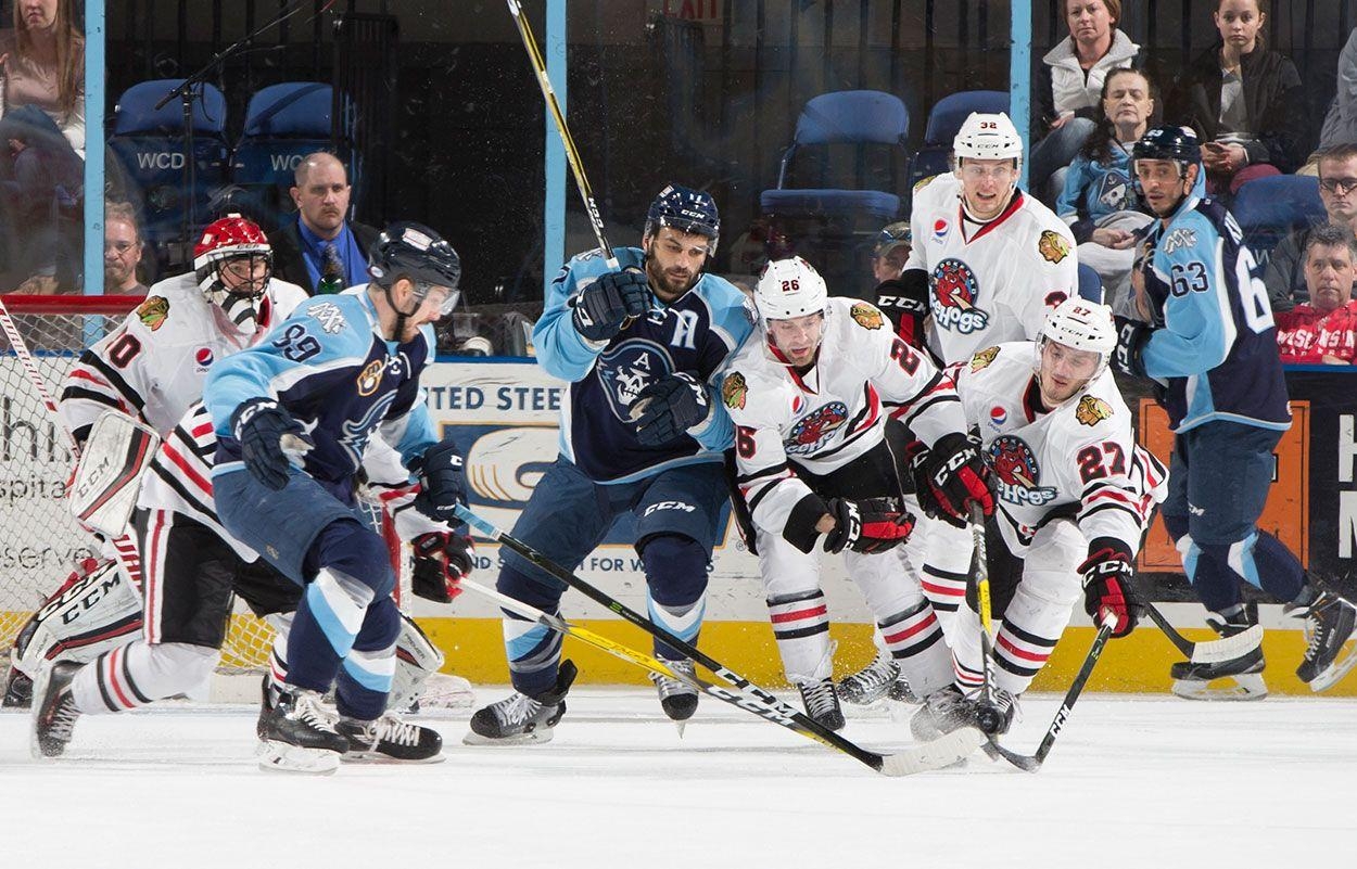 1250x810 Milwaukee Admirals, Desktop