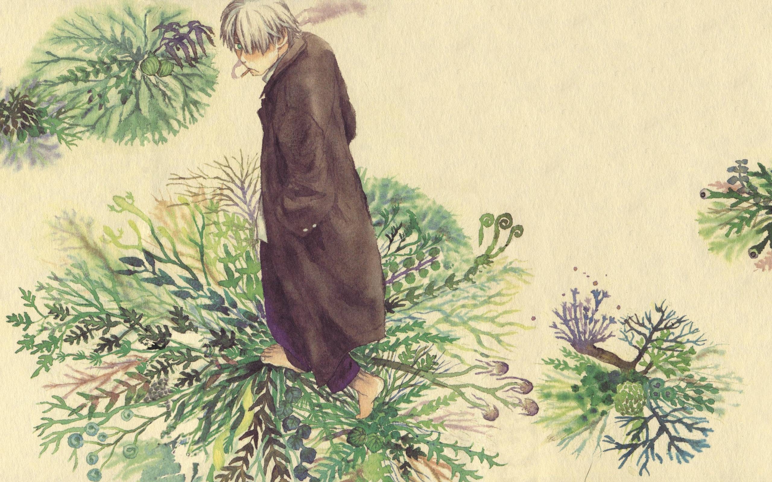 2560x1600 Download Mushishi Wallpaper, Desktop