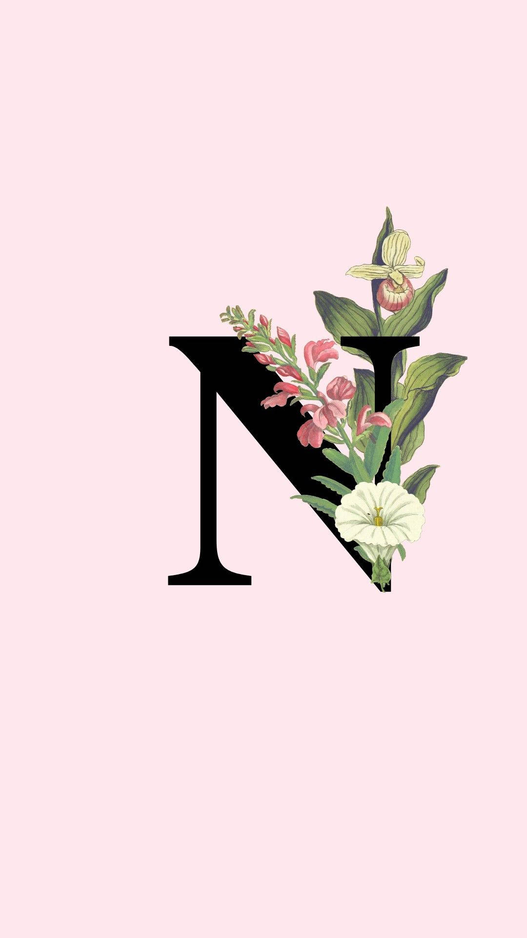 1080x1920 Download Letter N With Flower Wallpaper, Phone