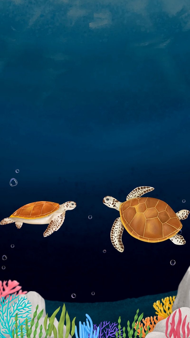 800x1430 Turtle Wallpaper Image Wallpaper, Phone