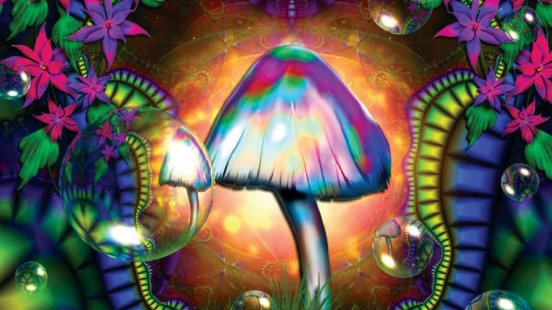 1920x1080 Mushrooms Screensaver, Desktop